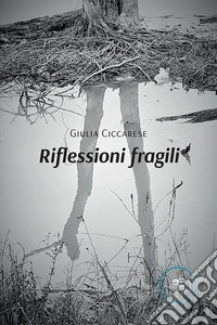 Riflessioni fragili
