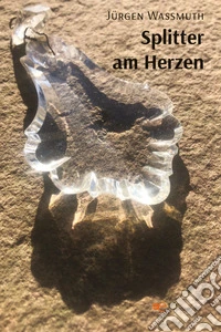 Splitter am herzen. Ediz. illustrata libro