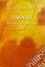 Urknall wer druckte auf den hebel? libro