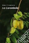 La carambola libro di D'Alessandro Maria