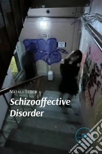 Schizoaffective Disorder