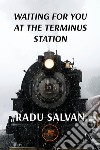 Waiting for you at the terminus station libro