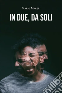 In due, da soli libro