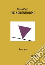 Fino a qui tutto bene libro