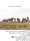 Cavalcammo insieme. Storie di amicizia e avventura di uomini e cavalli libro di Girardi Ampezzan Luigi