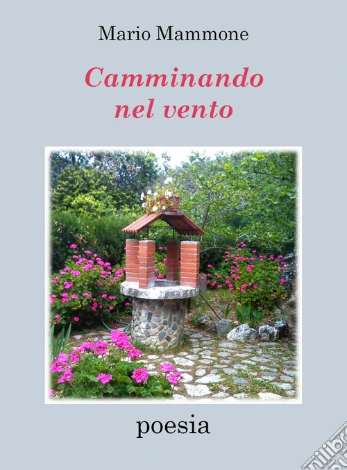 Camminando nel vento