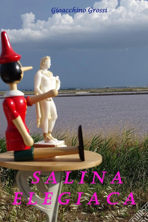Salina elegiaca