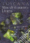 Toscana. Minerali di uranio a Livorno libro