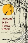 L'infinità in un piccolo spazio libro di Spano Tiber