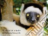 Sguardi sul mondo: Madagascar. Ediz. illustrata libro di Sbaraglia Simone