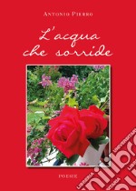 L'acqua che sorride libro