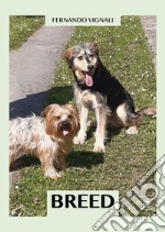 Breed libro