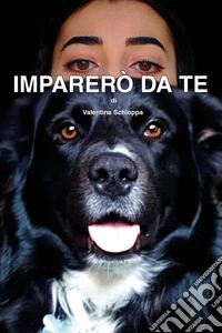 Imparerò da te