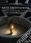 Meta meditazione. I segreti del lavoro su di sé e l'illusione del labirinto libro