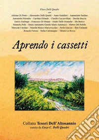 Aprendo i cassetti