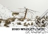 2020 wildlife photo. Ediz. illustrata libro di Venturi Max