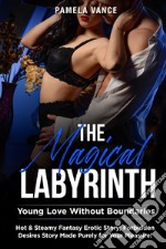 The magical labyrinth. Young love without boundaries libro