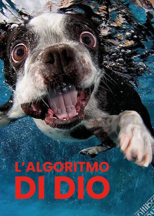 L'algoritmo di Dio
