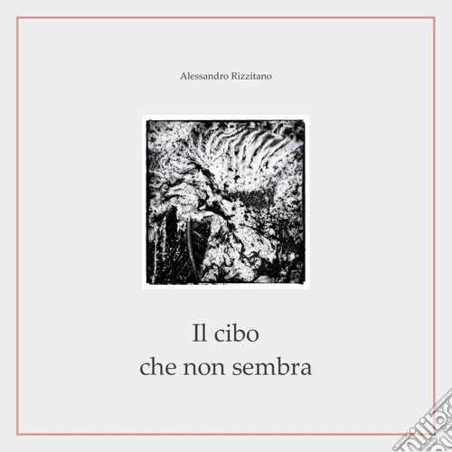 Il cibo che non sembra