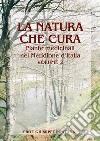La natura che cura. Piante medicinali nel Meridione d'Italia. Vol. 2 libro di Fontana Giuseppe