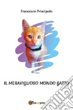 Il meraviglioso mondo gatto libro