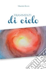 Frammenti di cielo libro