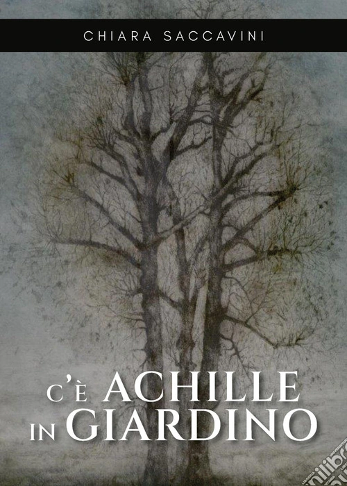 C'è Achille in giardino