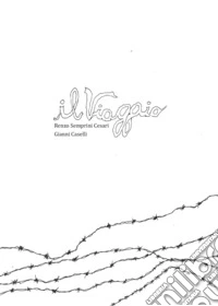 Il viaggio