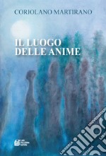 Il luogo delle anime libro