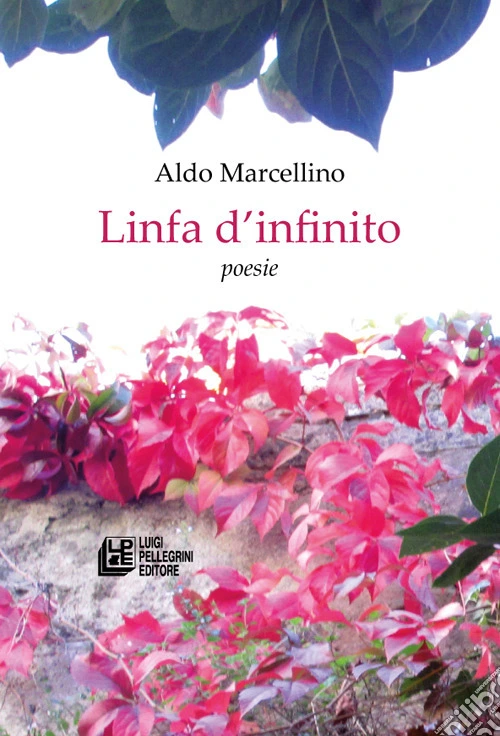 Linfa d'infinito