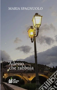 Adesso che rabbuia libro
