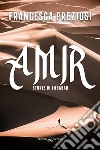 Amir libro