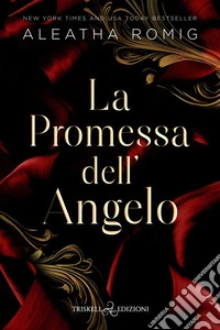 La promessa dell'angelo libro