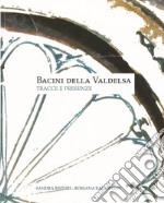 Bacini della Valdelsa. Tracce e presenze libro