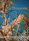 Le Proteaceae libro di Caneva Enrico