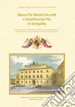 Opera Pia Mastai Ferretti e Stabilimento Pio in Senigallia. Evoluzione storico topografica dell'area della Maddalena e di Porta Colonna libro