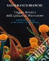 Viaggio artistico dalle galassie al microcosmo. Ediz. italiana e inglese libro