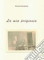 La mia prigionia libro