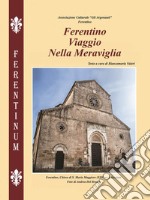 Ferentino. Viaggio nella meraviglia libro