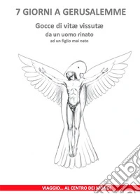 7 giorni a Gerusalemme. Viaggio... al centro dei mondi libro