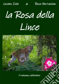 La rosa della lince. Il romanzo alchemico libro