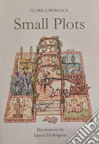 Small Plots. Ediz. integrale