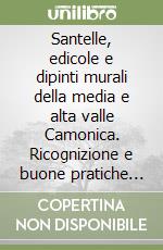 Santelle, edicole e dipinti murali della media e alta valle Camonica. Ricognizione e buone pratiche di intervento libro