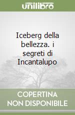 Iceberg della bellezza. i segreti di Incantalupo libro