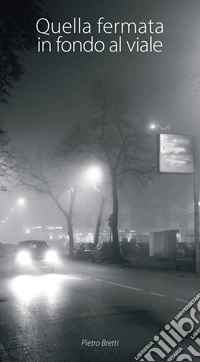 Quella fermata in fondo al viale libro