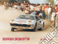 Ferrari 308. Gtb rally car. Ediz. italiana e inglese libro