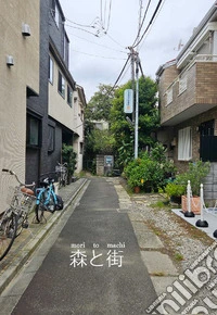 Mori to machi. Diario fotografico di un viaggio in Giappone. Ediz. illustrata libro