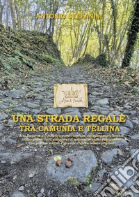Una strada regale. Tra camunia e tellina libro