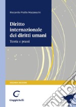 Diritto internazionale dei diritti umani. Teoria e prassi libro