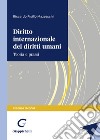 Diritto internazionale dei diritti umani. Teoria e prassi libro di Pisillo Mazzeschi Riccardo